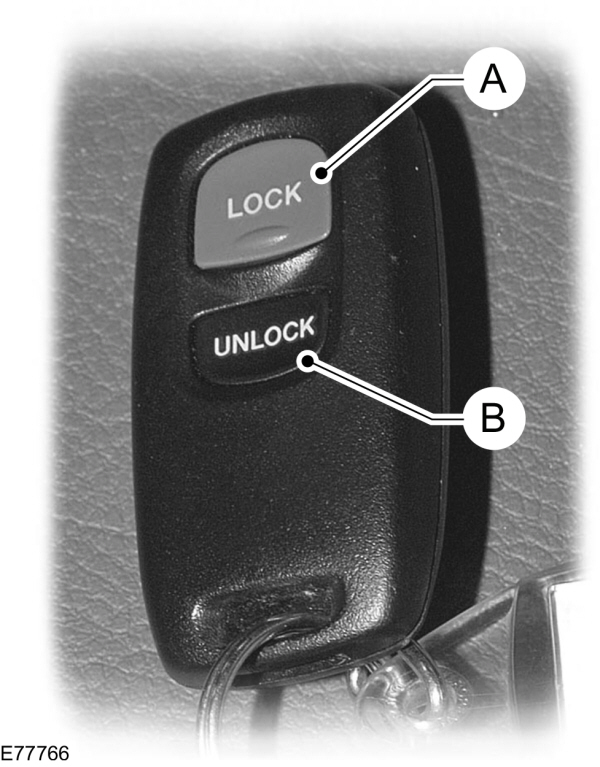 Image Shown Without Description