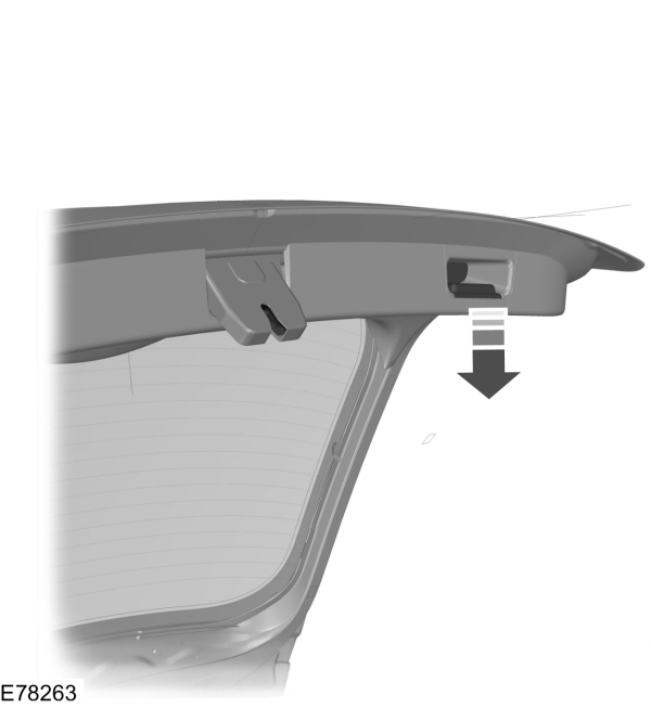 Image Shown Without Description