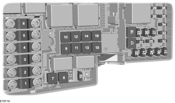 Image Shown Without Description
