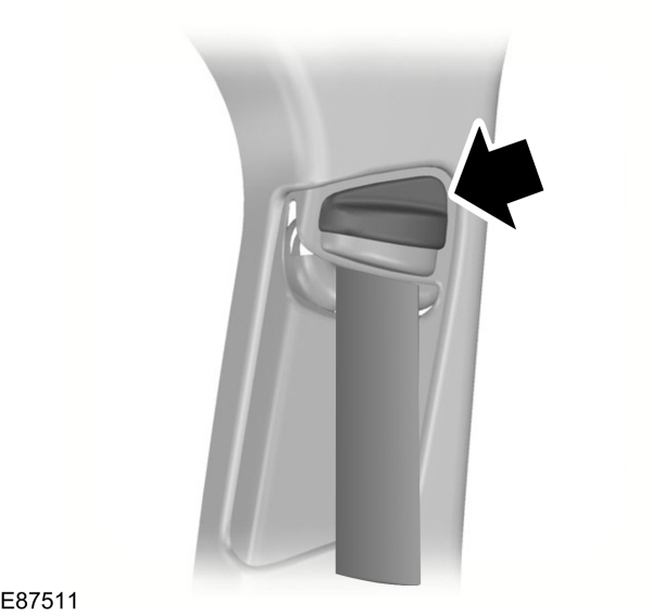 Image Shown Without Description