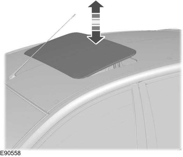 Image Shown Without Description