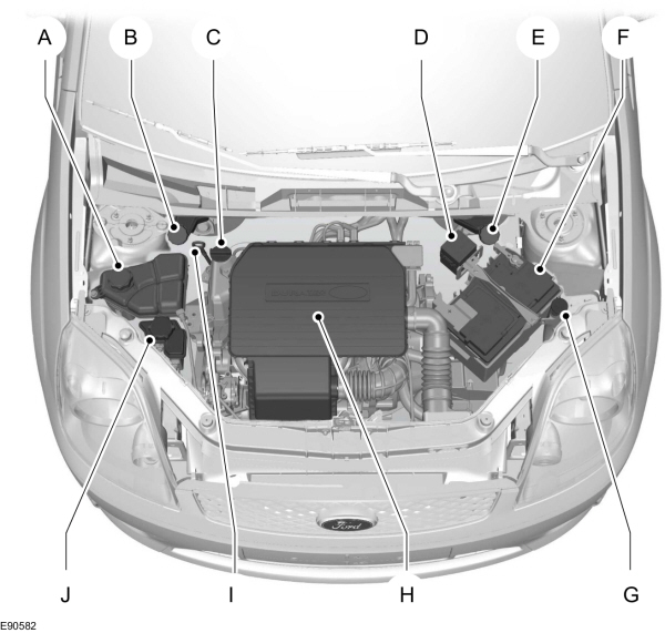 Image Shown Without Description