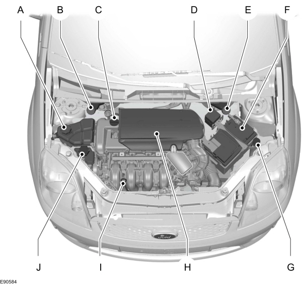 Image Shown Without Description