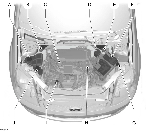 Image Shown Without Description