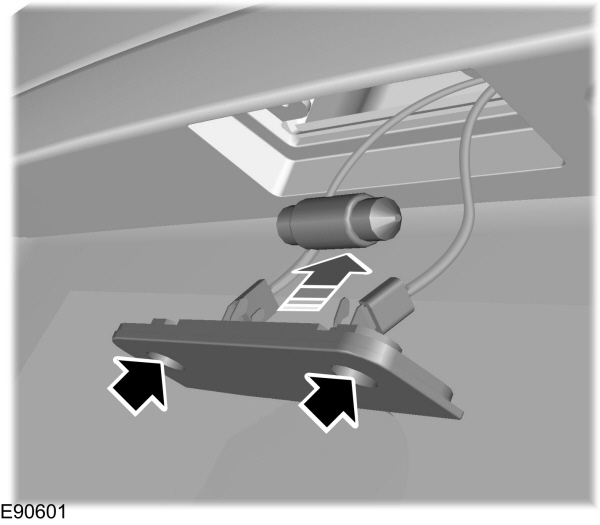 Image Shown Without Description