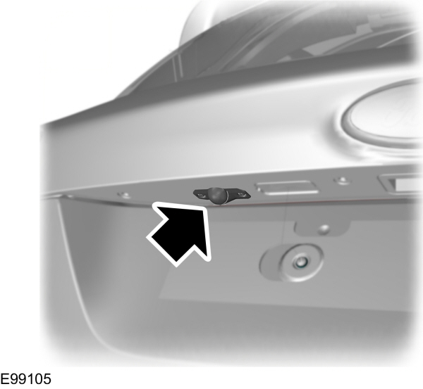 Image Shown Without Description