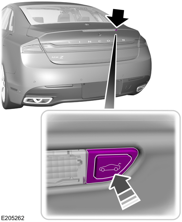 Image Shown Without Description