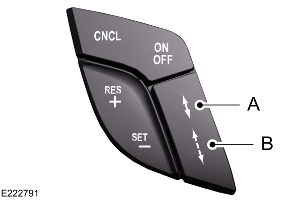 Image Shown Without Description