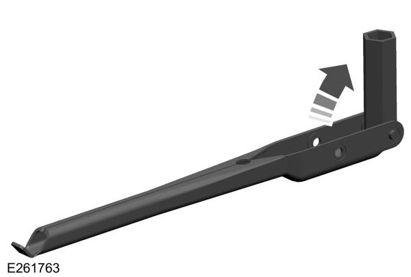 Image Shown Without Description
