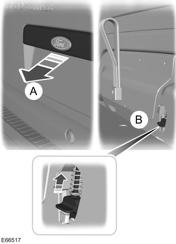 Image Shown Without Description