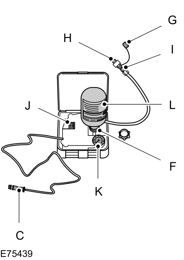 Image Shown Without Description